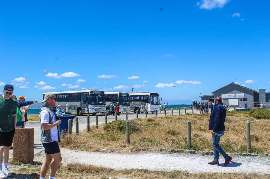 Cape Town:Robben Island Guided Tour, Skip the Ticketing Line - Getting to the gateway without stress