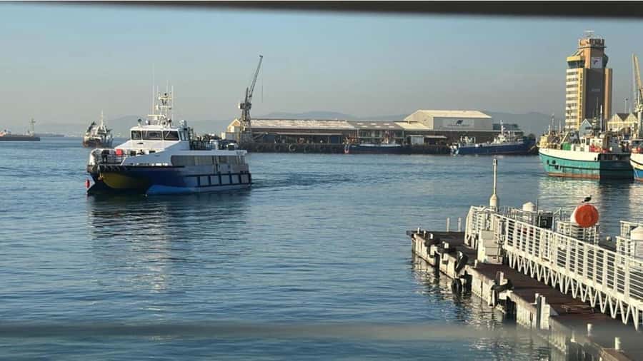 Cape Town: Robben Island Half-Day Tour with Entry Tickets - Should you book the Robben Island tour?