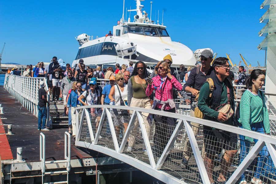 Cape Town: Robben Island plus Table Mountain Tickets - Why this pairing works so well