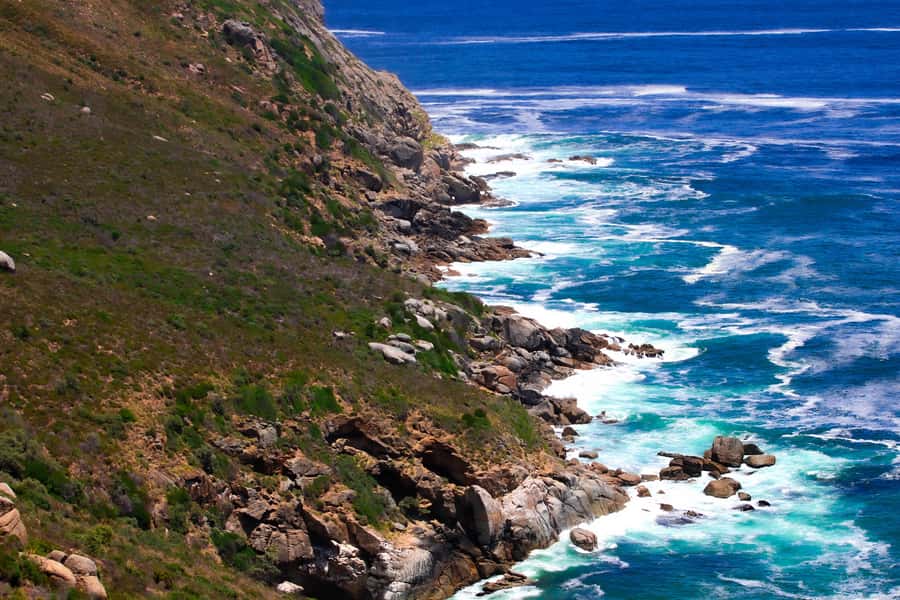 Cape Town's Best: Cape Point & Boulders Beach Group Tour - Hout Bay adds an optional boat ride