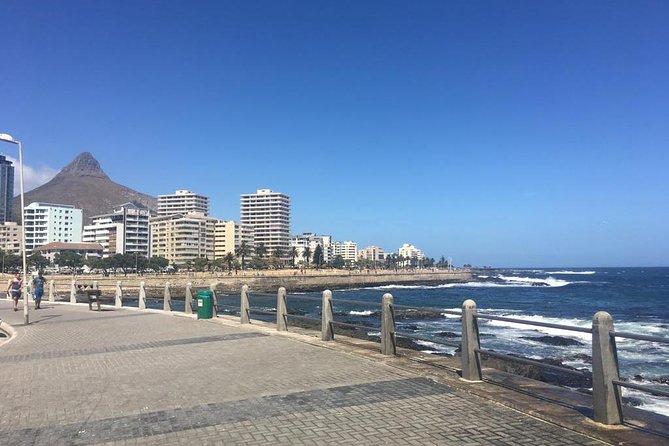 Cape Town's Finest City Bike Tour - Company’s Garden adds a welcome pause