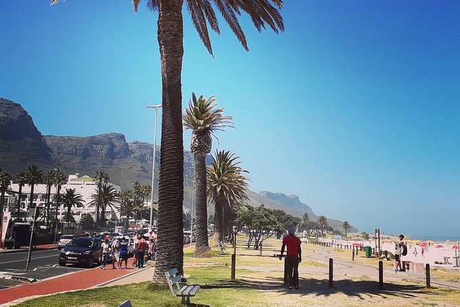 Cape Town's Finest City Bike Tour - Guides, equipment, and the pace
