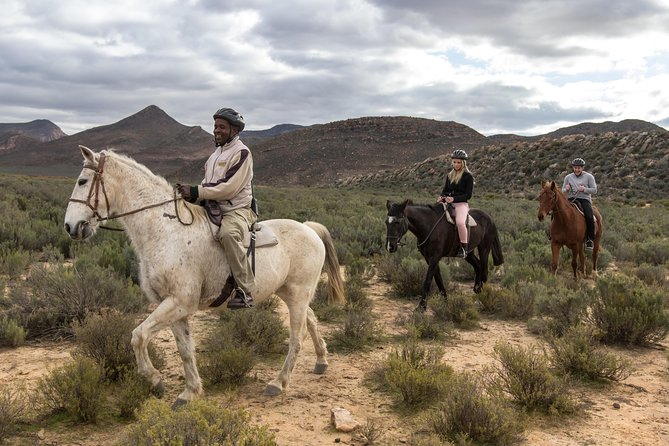 Cape Town Safari Big 5 experience all inclusive - Timing, clothing, and useful preparation