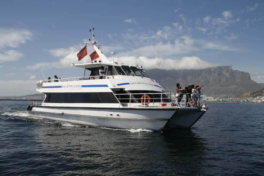 Cape Town: Scenic 1-Hour Coastal Catamaran Cruise - The first views from the harbor