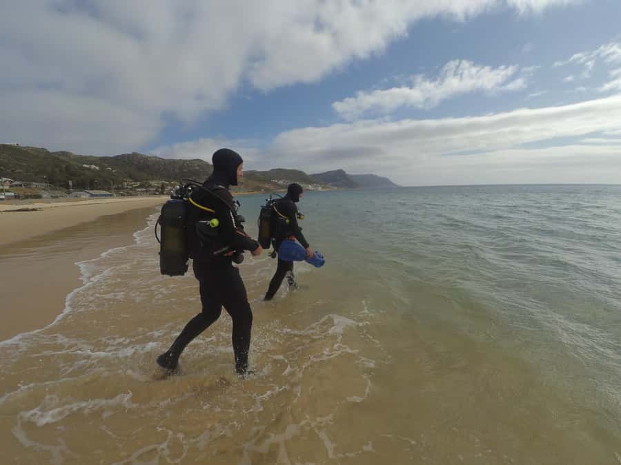 Cape Town: Scuba Diving Experience for Beginners - Entering Cape Town’s underwater world from Simon’s Town