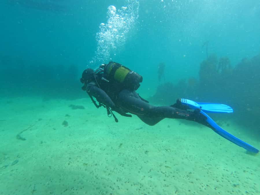 Cape Town: Scuba Diving Experience for Beginners - Who will enjoy this most