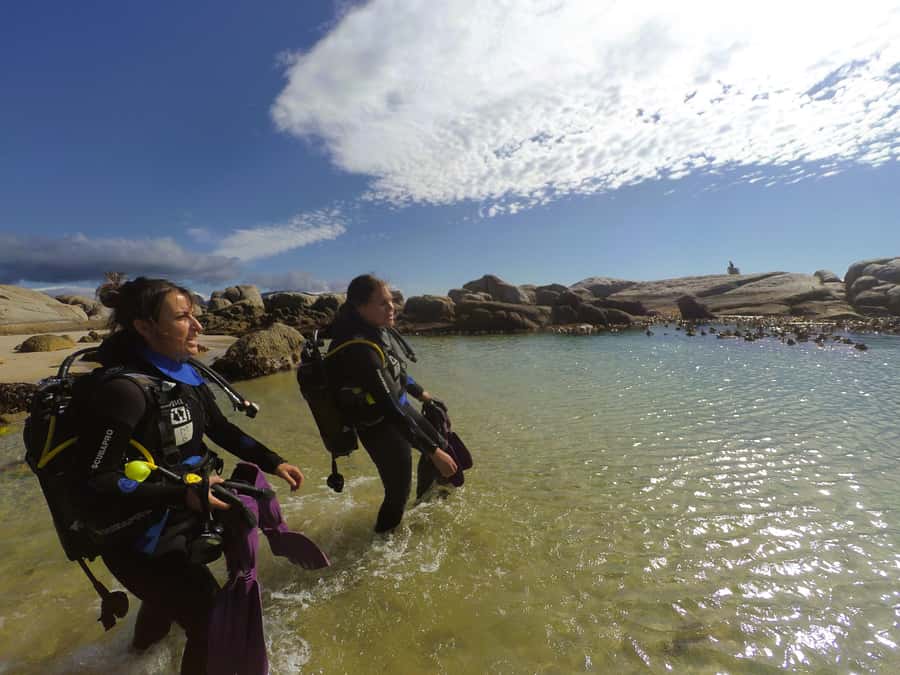 Cape Town: Scuba Diving Experience for Beginners - Practical details that can make the morning easier
