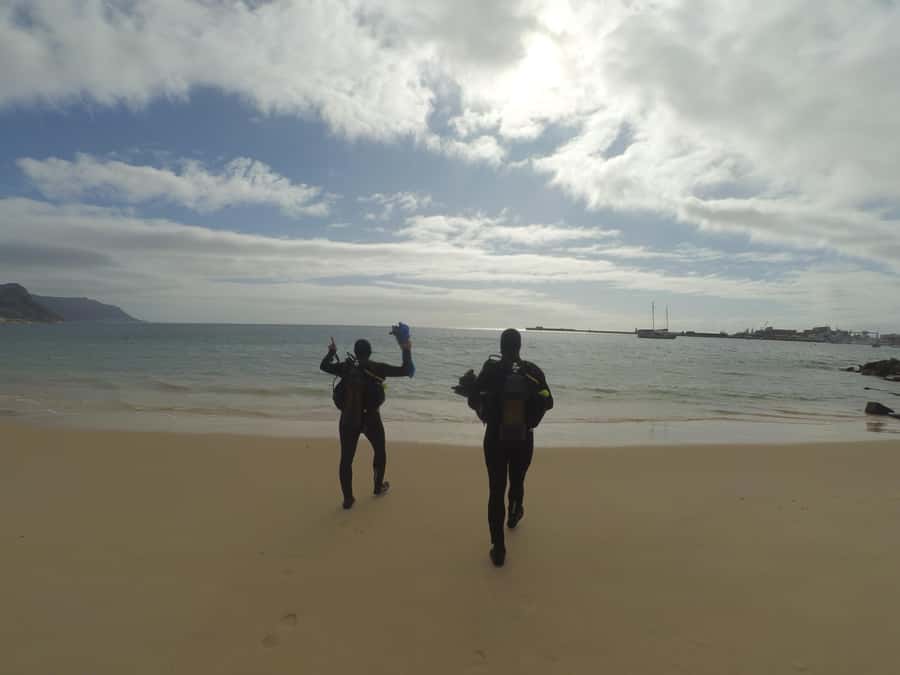 Cape Town: Scuba Diving Experience for Beginners - The first 45 minutes: gear, signals, and getting comfortable