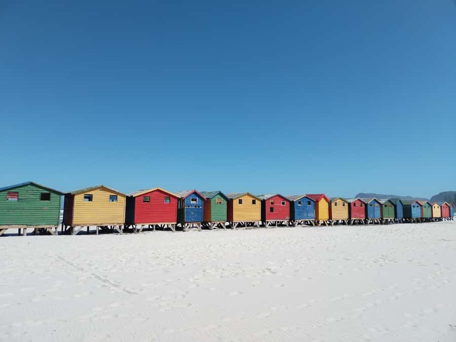 Cape Town: Seal Island, Cape of Good Hope& Penguins Private - Lunch in Simons Town and Muizenberg’s beach huts
