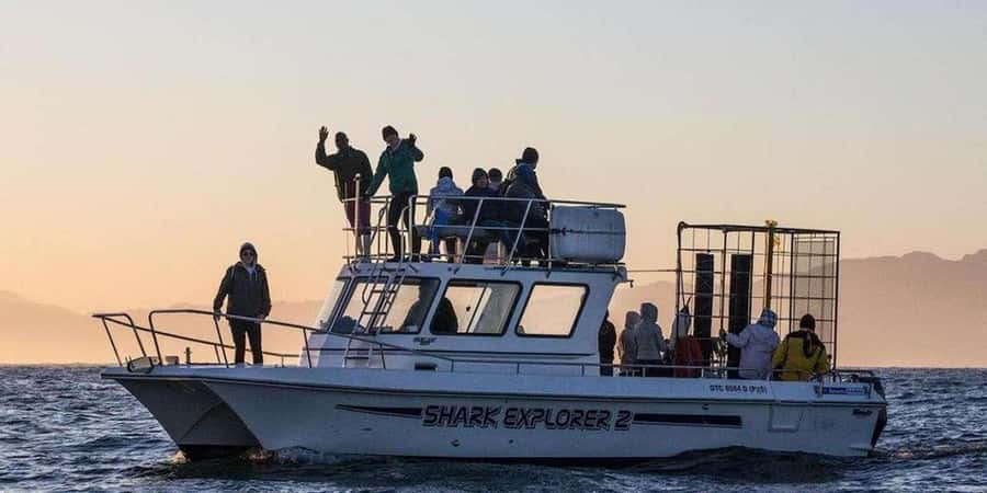 Cape Town: Shark Cage Diving Tour (with Breakfast & Lunch) - Breakfast, briefing, and the boat ride to Shark Alley