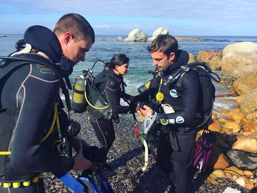 Cape Town: Shark Science SCUBA Diving Experience - What the wildlife search may feel like