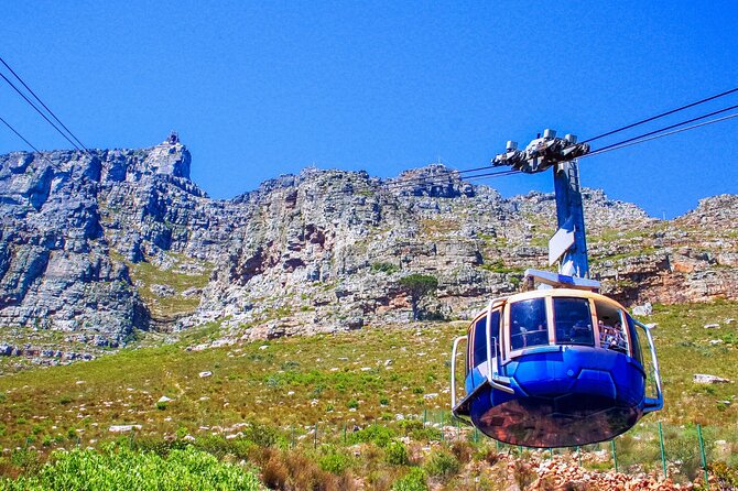 Cape Town Shore Tour: Table Mountain, Penguin & Cape Point - Why this route works for a cruise day