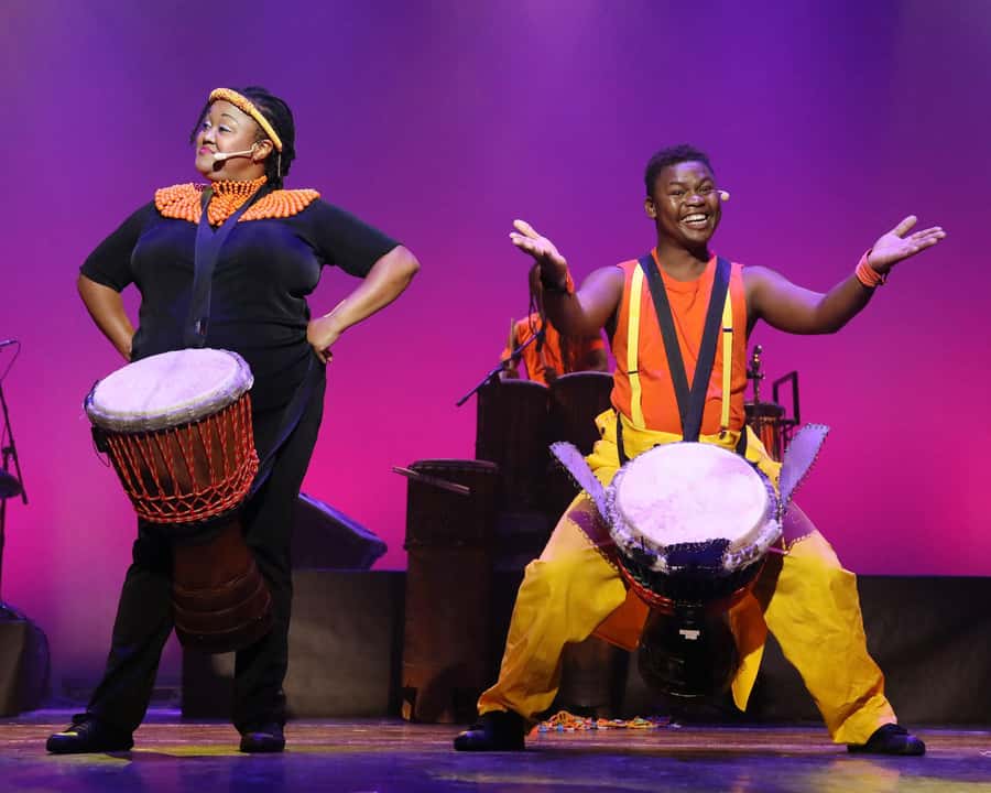 Cape Town: Silvermist Estate Wine Tasting & Drumstruck Show - Gregory Louw’s four-wine tasting