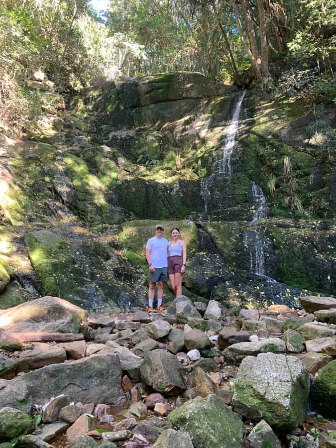 Cape Town: Skeleton Gorge and Kirstenbosch Gardens Hike - Starting among Kirstenbosch’s fynbos