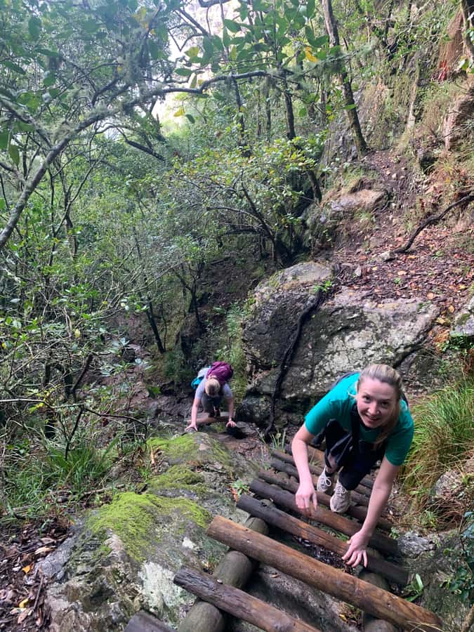 Cape Town: Skeleton Gorge and Kirstenbosch Gardens Hike - Entering the shaded Skeleton Gorge
