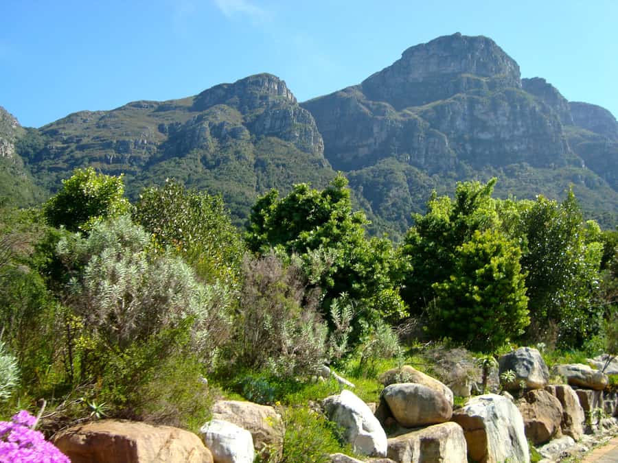 Cape Town: Skeleton Gorge and Kirstenbosch Gardens Hike - Reaching Table Mountain’s sandy upper slopes