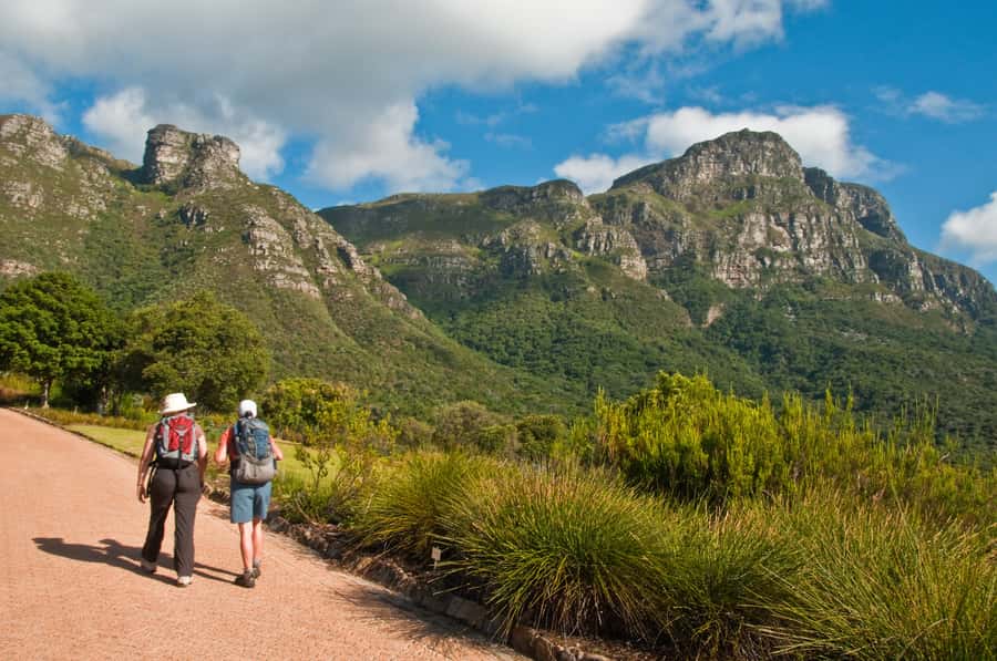 Cape Town: Skeleton Gorge and Kirstenbosch Gardens Hike - What the guide adds to the walk