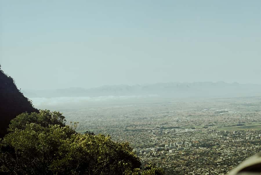 Cape Town: Skeleton Gorge and Kirstenbosch Gardens Hike - Who will enjoy this hike most?
