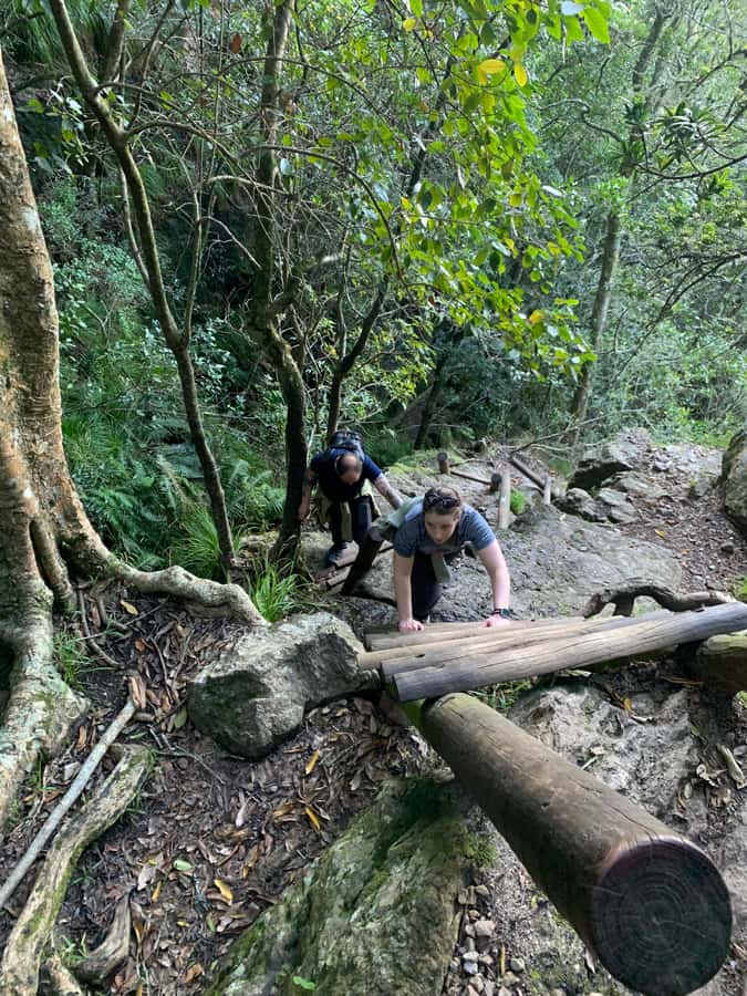 Cape Town: Skeleton Gorge and Kirstenbosch Gardens Hike - Should you book Skeleton Gorge?