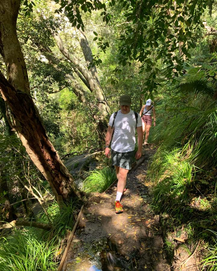 Cape Town: Skeleton Gorge and Kirstenbosch Gardens Hike - Ladders, waterfalls and the steepest work
