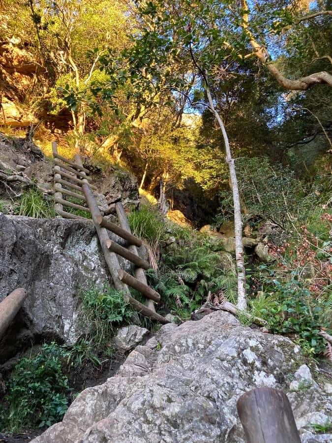 Cape Town: Skeleton Gorge Hike to Table Mountain Summit - Reaching Table Mountain’s broad summit