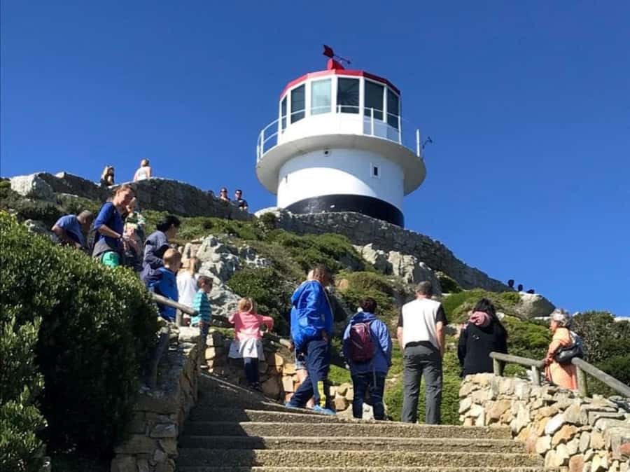 Cape Town: Some Attractions of the Cape (private & exclusiv) - A guide can turn a scenic drive into a real tour