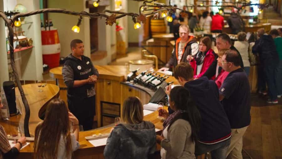 Cape Town: Stellenbosch, Franschhoek and Paarl Wine Day Trip - What the $96 price really includes