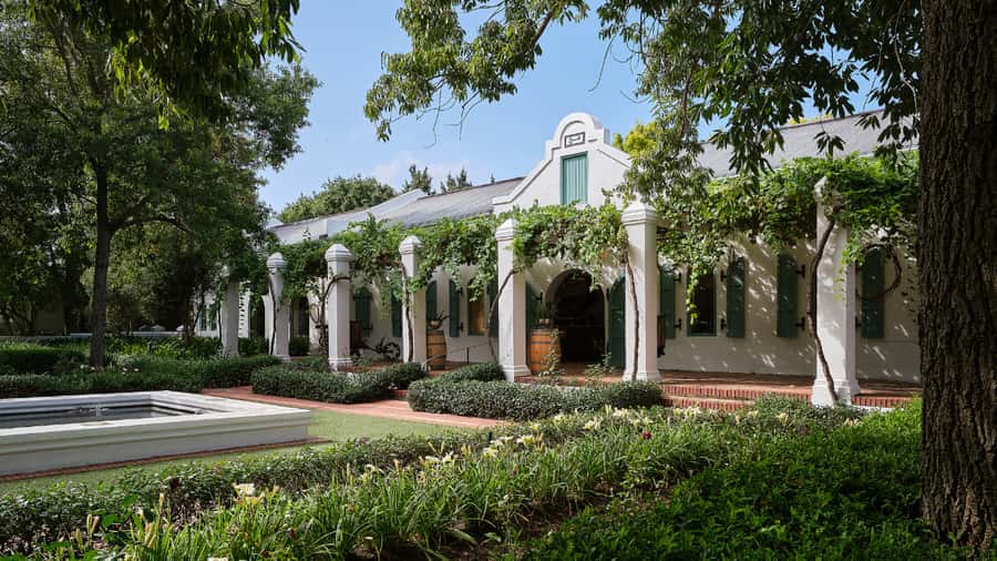 Cape Town: Stellenbosch, Franschhoek and Paarl Wine Day Trip - Who will enjoy this wine day trip?