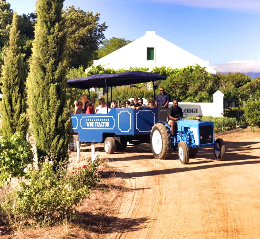 Cape Town: Stellenbosch Hop-On Hop-Off Tractor Transfer - Why the tractor makes Stellenbosch different