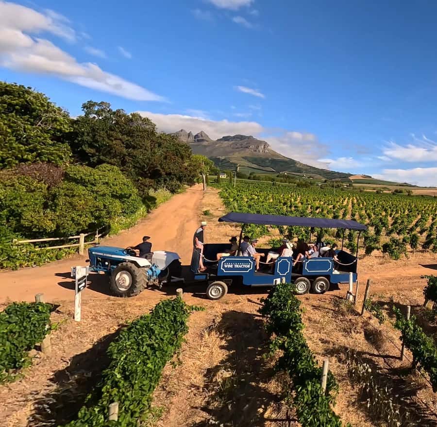 Cape Town: Stellenbosch Hop-On Hop-Off Tractor Transfer - The first farm stop sets the tone