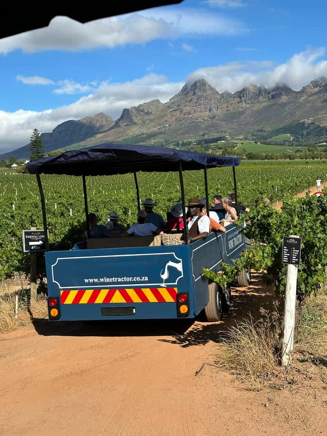 Cape Town: Stellenbosch Hop-On Hop-Off Tractor Transfer - Should you book the Stellenbosch wine tractor?