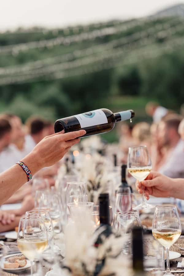 Cape Town: Stellenbosch Wine Half-Day Tour - Morning or afternoon: choosing the better fit