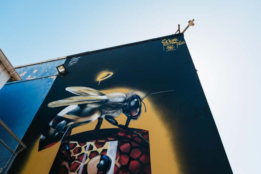 Cape Town: Street Art Walking Tour in Woodstock - How much $37 is worth