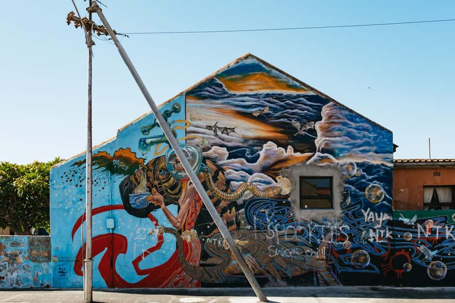 Cape Town: Street Art Walking Tour in Woodstock - Who should book it