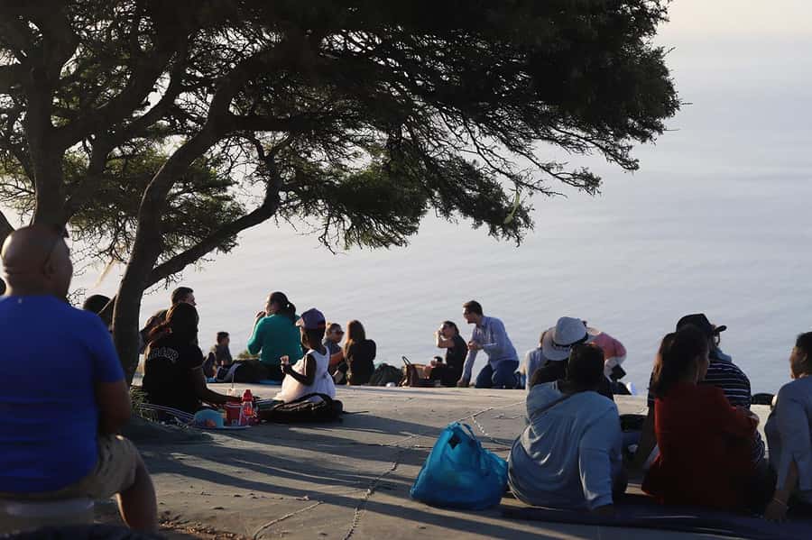 Cape Town: Sunset Bus Tour with Picnic on Signal Hill - Why this three-hour evening works