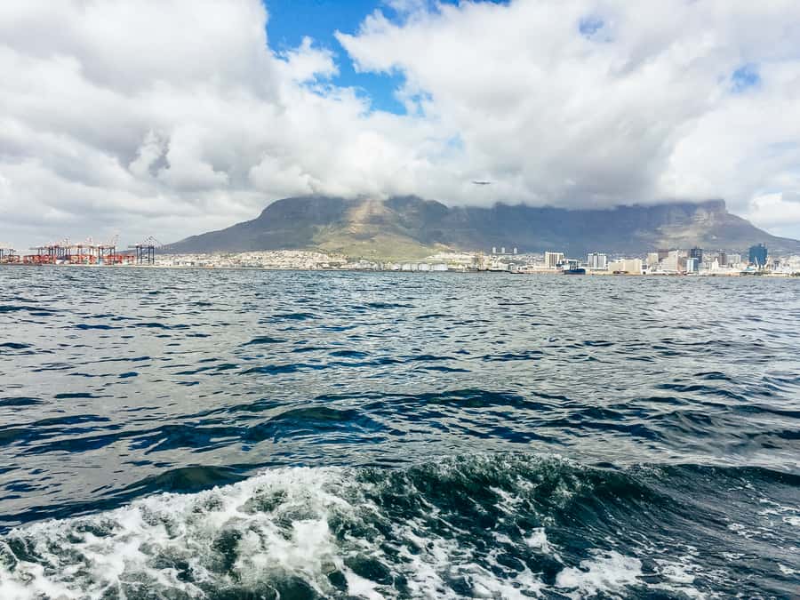 Cape Town: Sunset Champagne Cruise - Who should book this cruise
