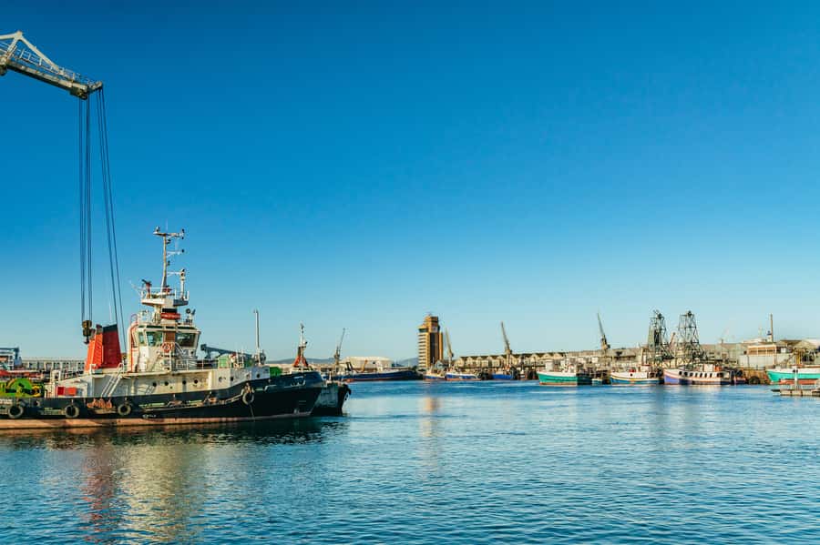 Cape Town: Sunset Champagne Cruise and 3-Course Dinner - Practical details that make the night easier
