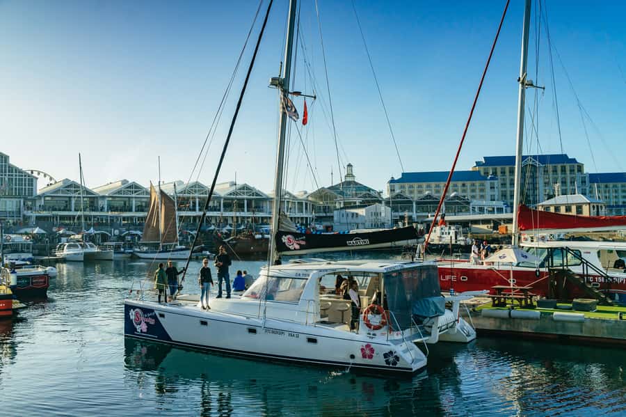 Cape Town: Sunset Champagne Cruise and 3-Course Dinner - Who will enjoy this evening most?