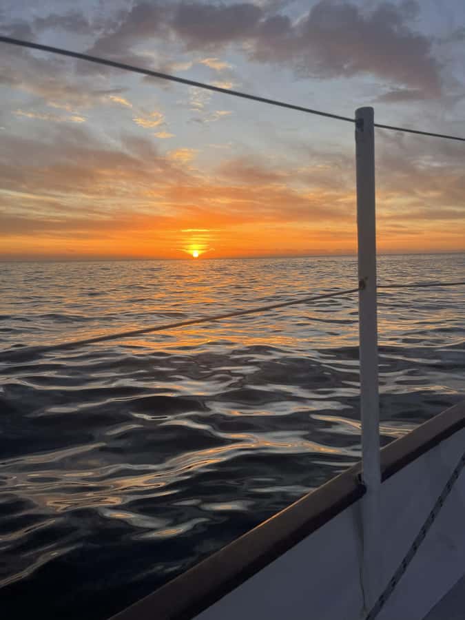 Cape Town: Sunset Cruise from V&A Waterfront with Bubbly - Who should book this Cape Town cruise?