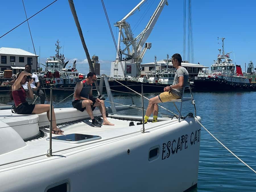 Cape Town: Table Bay Cruise by Catamaran - What to bring for a comfortable sail