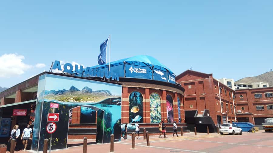 Cape Town: Table Mountain and Robben Island Tour - How the guides shape the day
