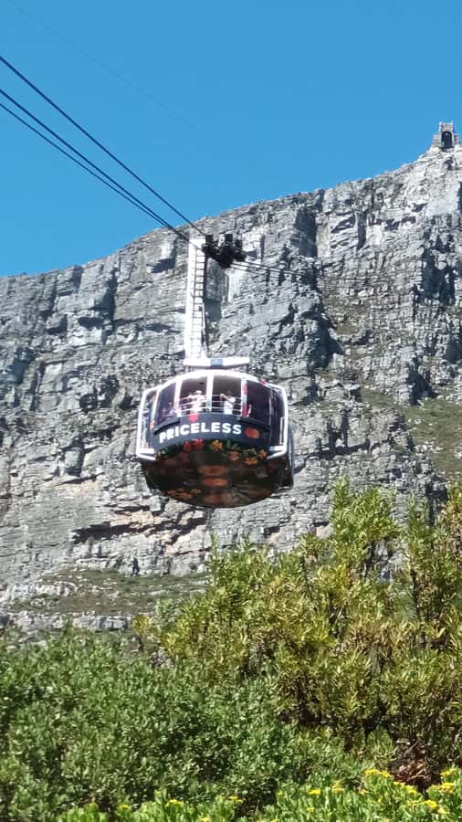 Cape Town: Table Mountain Cable Car Ticket - The real value of a $62 ticket