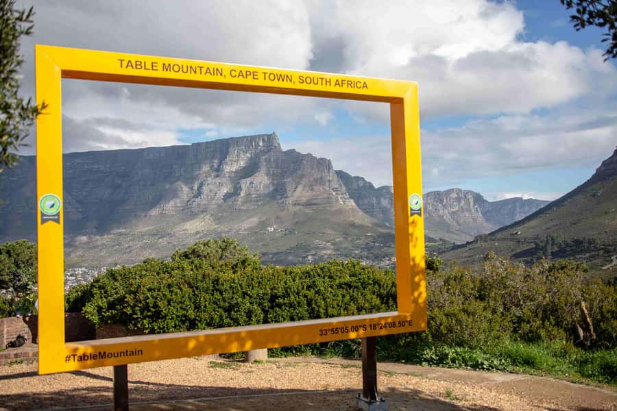 Cape Town: Table Mountain, Cape Point, and Penguins Tour - Guides, timing, and the human side of the drive