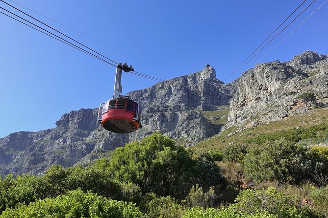 Cape Town Table Mountain Cape Point Penguins Full-Day Private Tour - Table Mountain requires advance planning