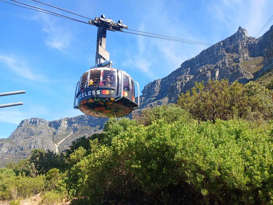 Cape Town: Table Mountain, Cape Point, & Penguins Group Tour - Simon’s Town lunch and the tour’s practical rhythm