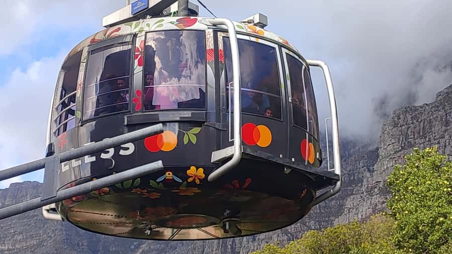 Cape Town: Table Mountain,Cape Point & Penguins Private Tour - A big Cape Town day, from mountain summit to penguin beach