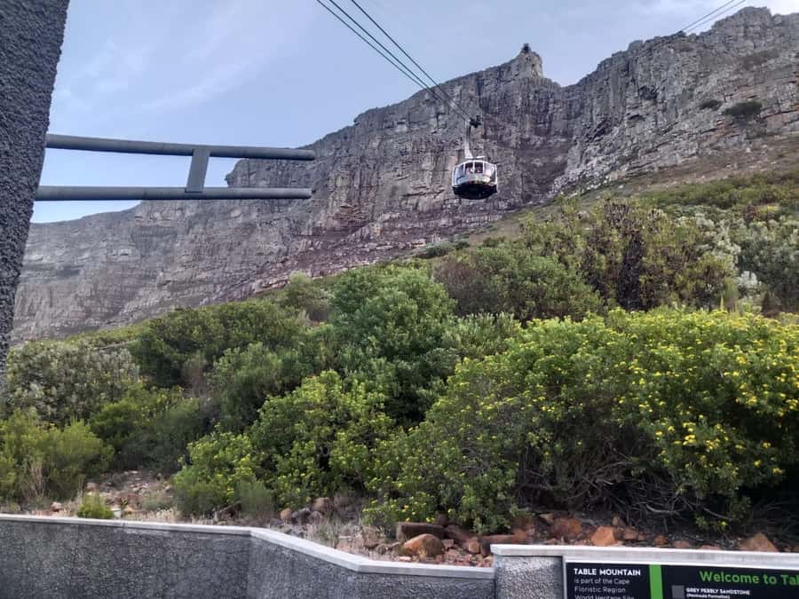 Cape Town: Table Mountain Half-Day Tour with Cable Car Ride - Reaching the summit viewpoints