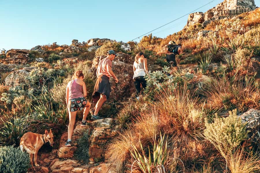 Cape Town: Table Mountain Hike via India Venster - Rock steps, picnic spots, and Cape Town below