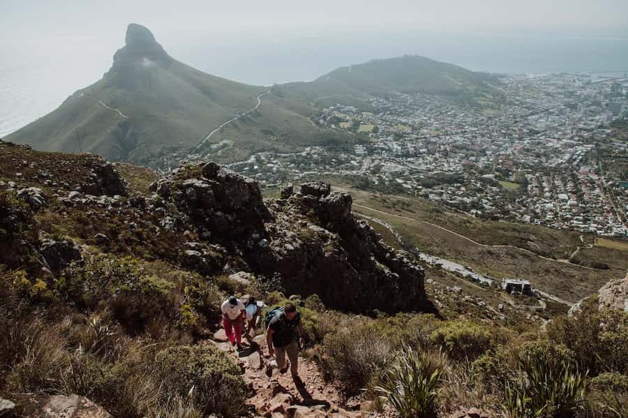 Cape Town: Table Mountain Hike with an Experienced Guide - Platteklip Gorge gives you the direct climb
