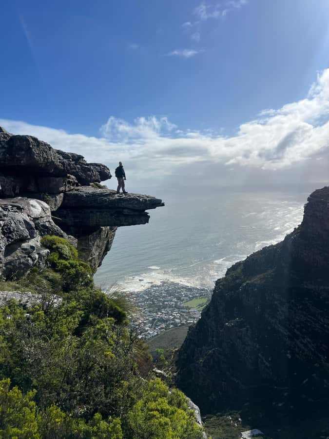 Cape Town: Table Mountain Hike with an Experienced Guide - Skeleton Gorge brings forest, shade, and a different rhythm